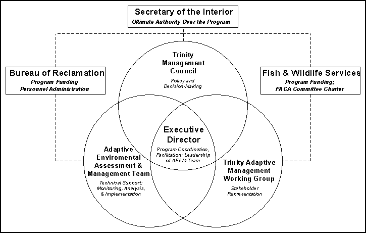 Org Chart