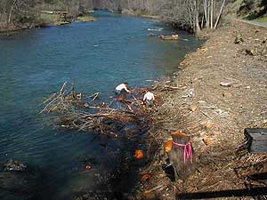 Clearing slash along river