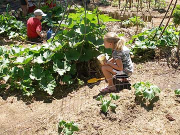 Little Farmers