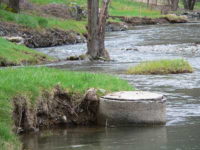 Salmon Habitats