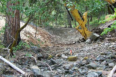 New Creek Bed