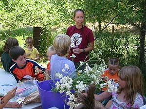 Flower Arrangements