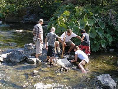 In the Creek