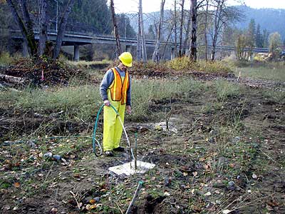 Watering Planting