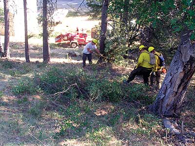 Clearing Limbs