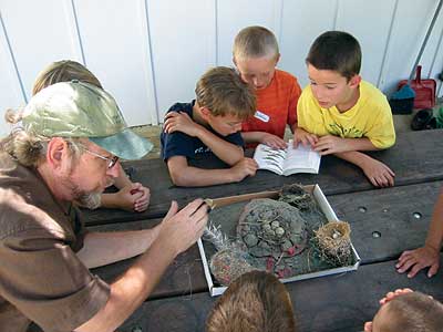 Learning About Bird Nests