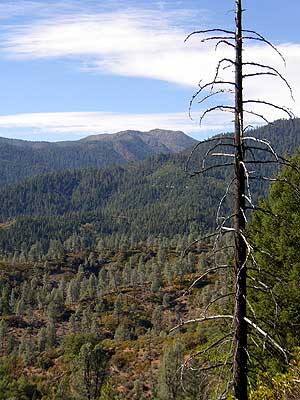 View from Musser Hill Rd