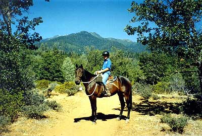 Along the Weaver Basin Trail