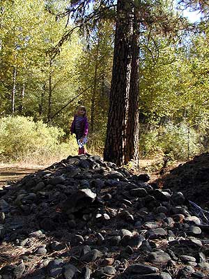 Mining tailings