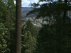 View of Weaverville from high in the forest.